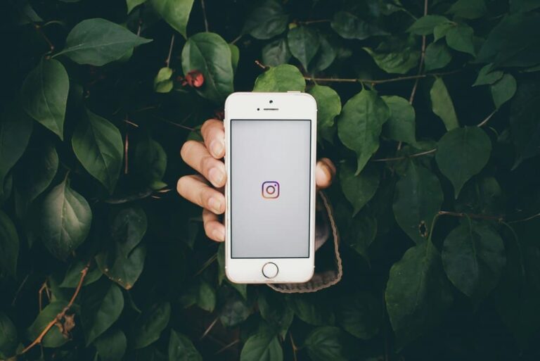 Tips for Choosing Instagram Management Services in Bali