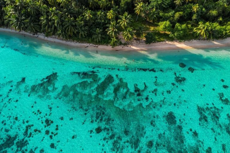 How to Start a Surf Camp in Mentawai: A Complete Guide