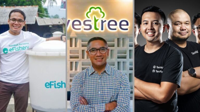 Lessons from eFishery, Investree, and TaniFund: What Business Owners and Investors Must Learn