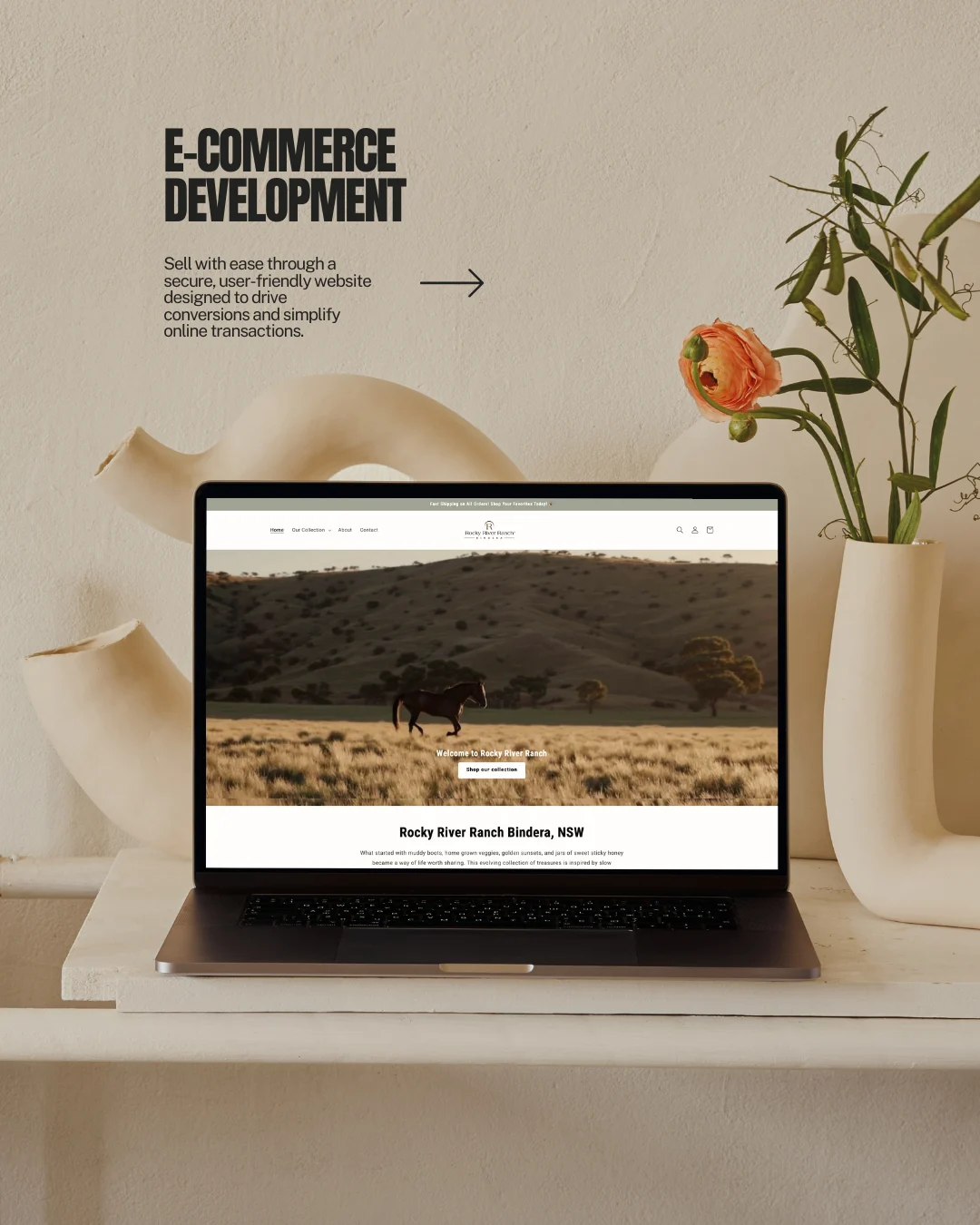 E-commerce Development