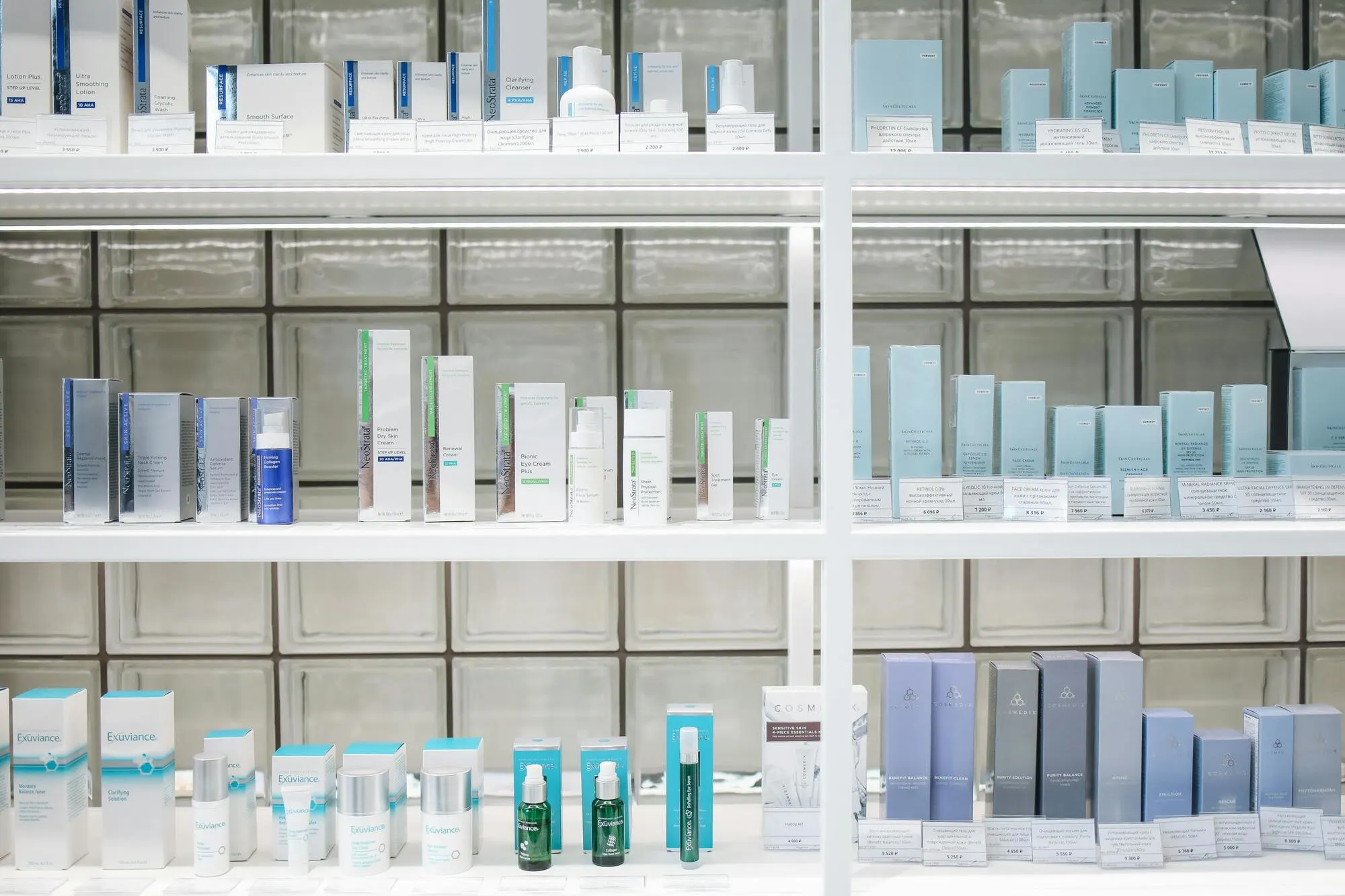 Top Sectors Where Korean Businesses Are Thriving